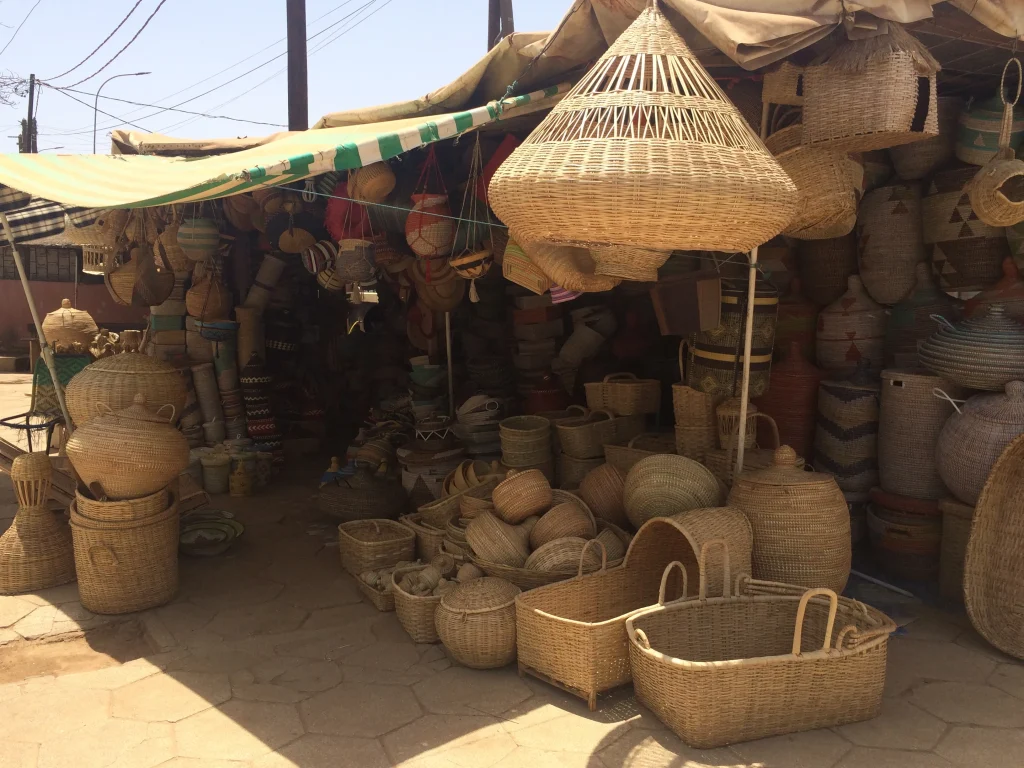 Excursion au départ de l’hôtel Royal Horizon Baobab Somone