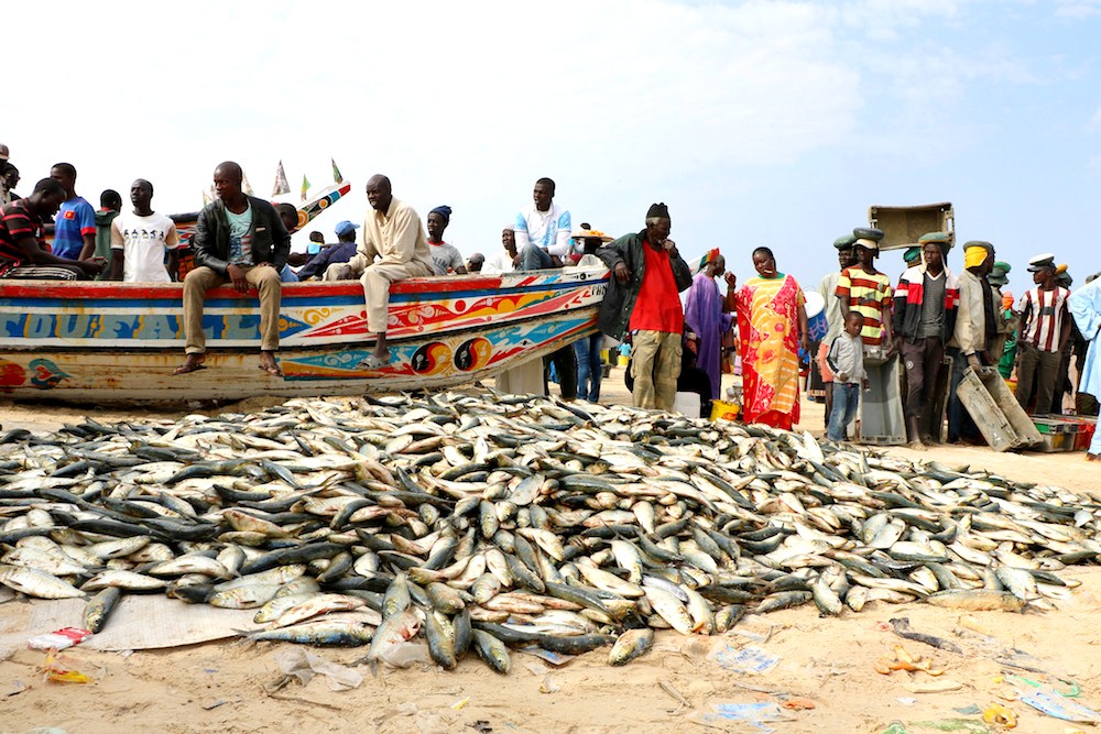 Peche-artisanale-au-Senegal