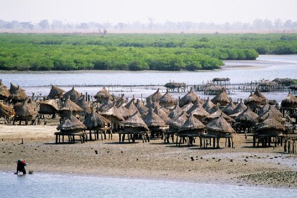 Excursion Sénégal depuis Saly