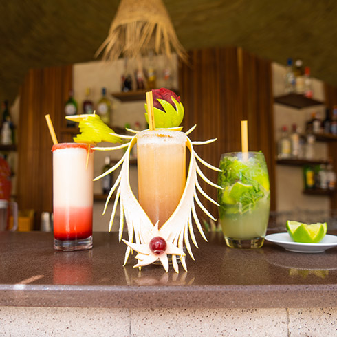 Excursions Nuit à Saly