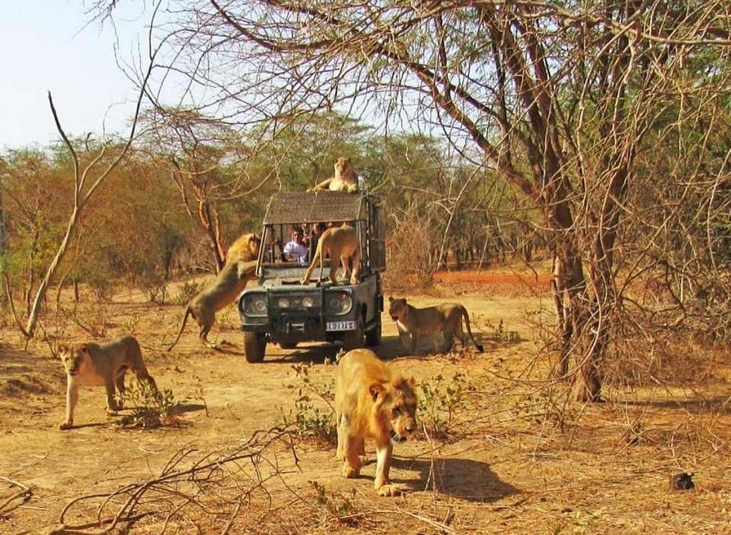 Excursion Ranch de Bandia