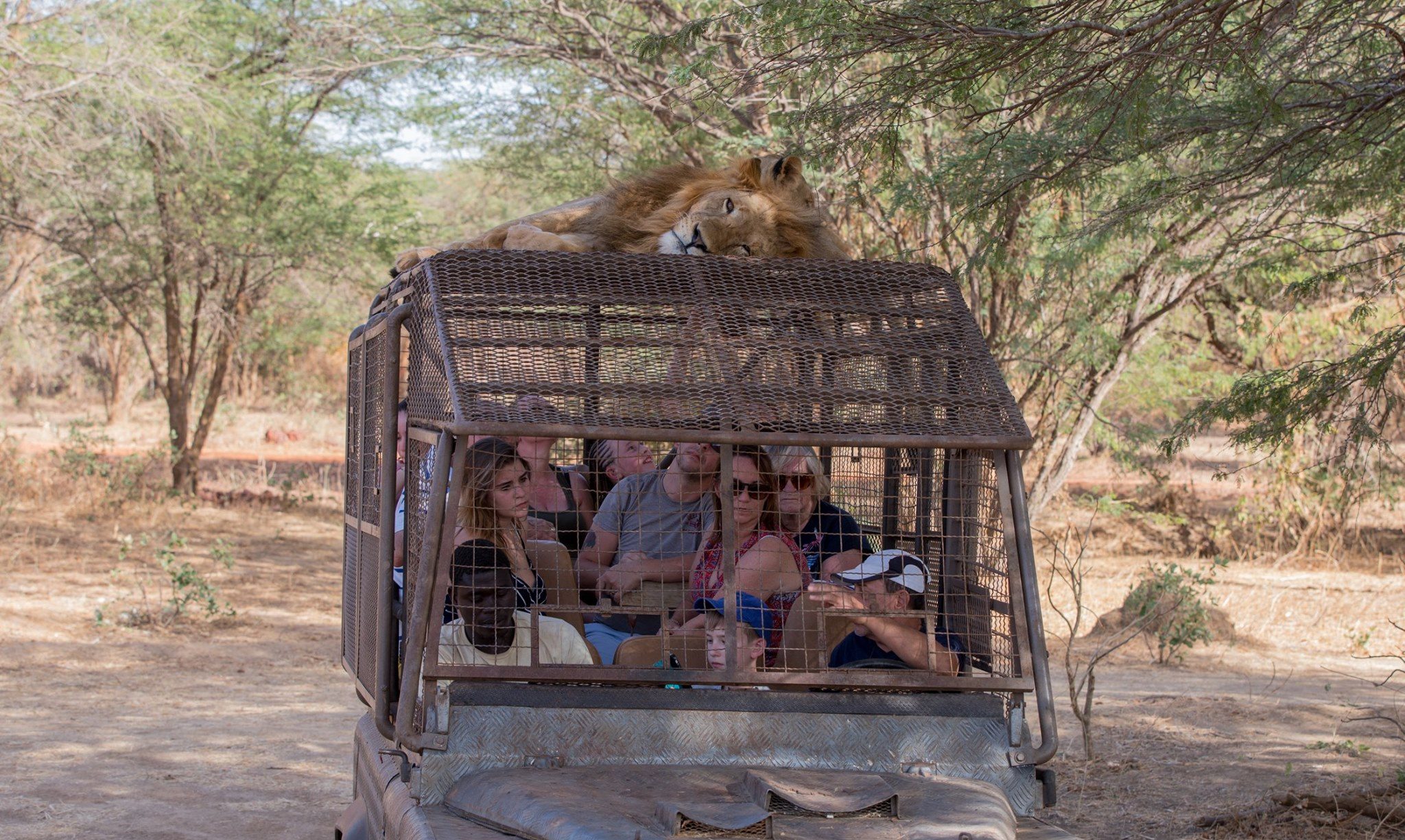 chauffeur guide Sénégal