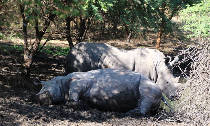 excursion Bandia (16)