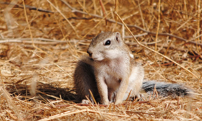 excursion Bandia (4)