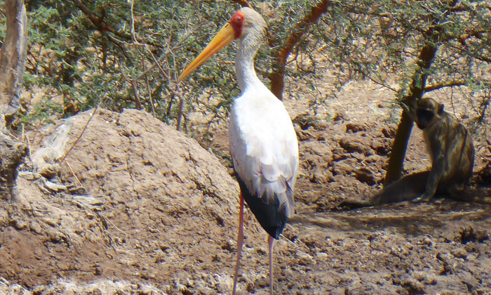 excursion Bandia (7)