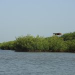 Que faire à la Somone ?