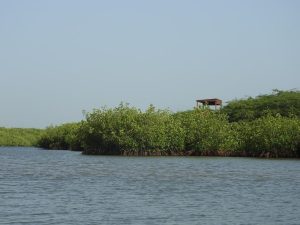 Que faire à la Somone ?