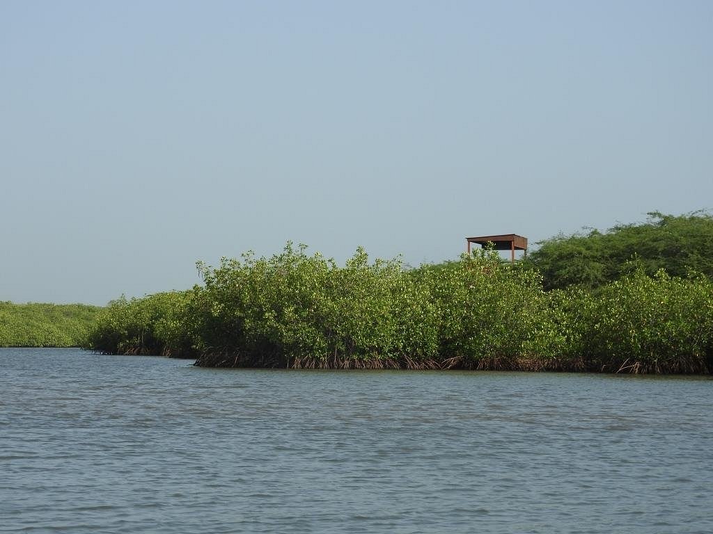 Que faire à la Somone ?