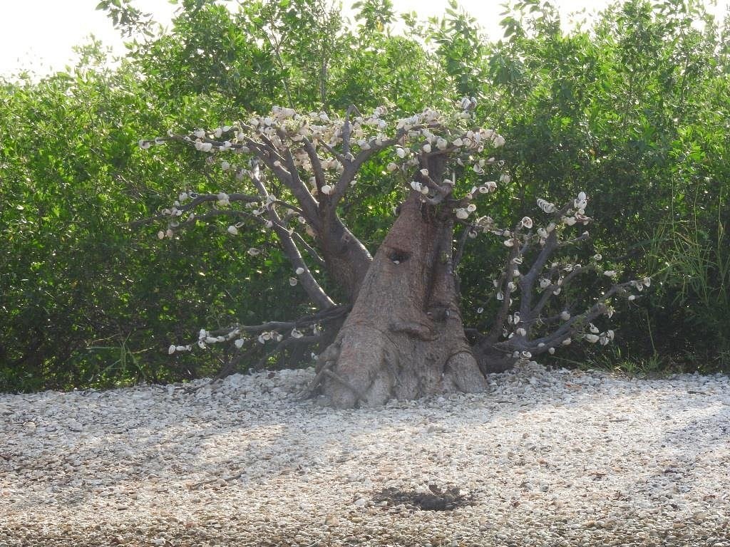 lagune-de-la-somone (5)