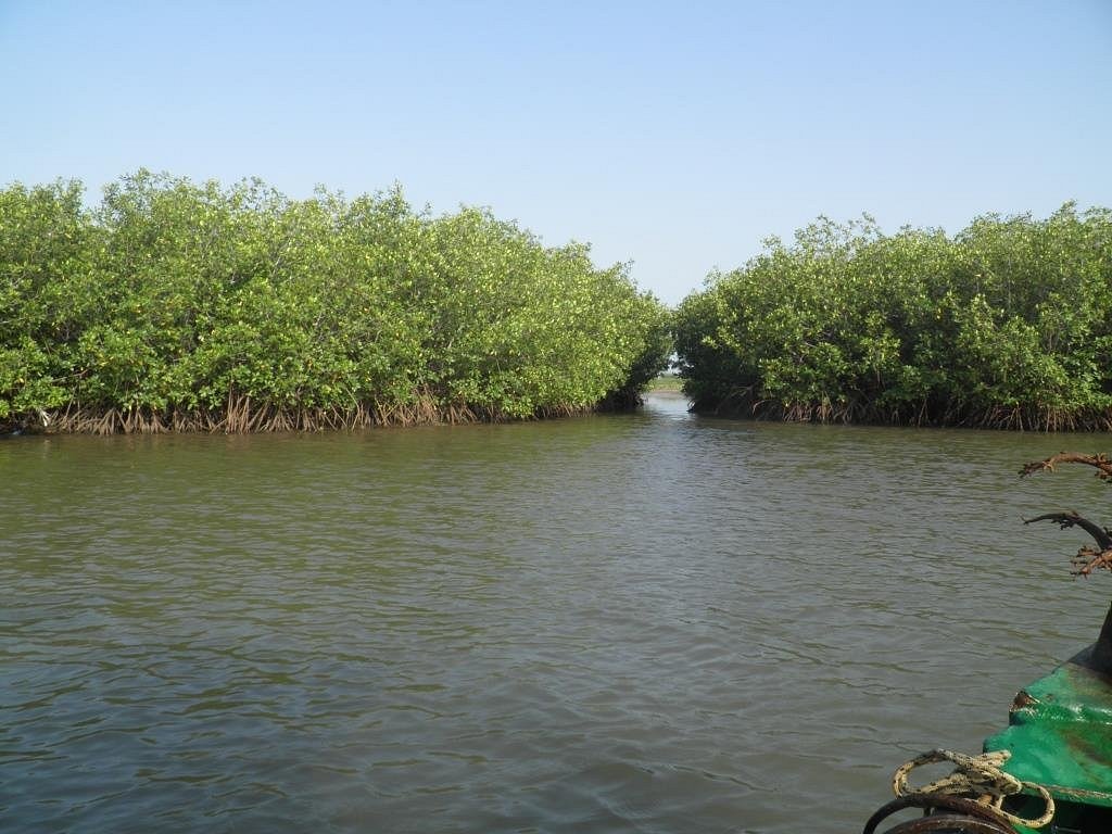 Excursion au départ de l’hôtel Royal Horizon Baobab Somone