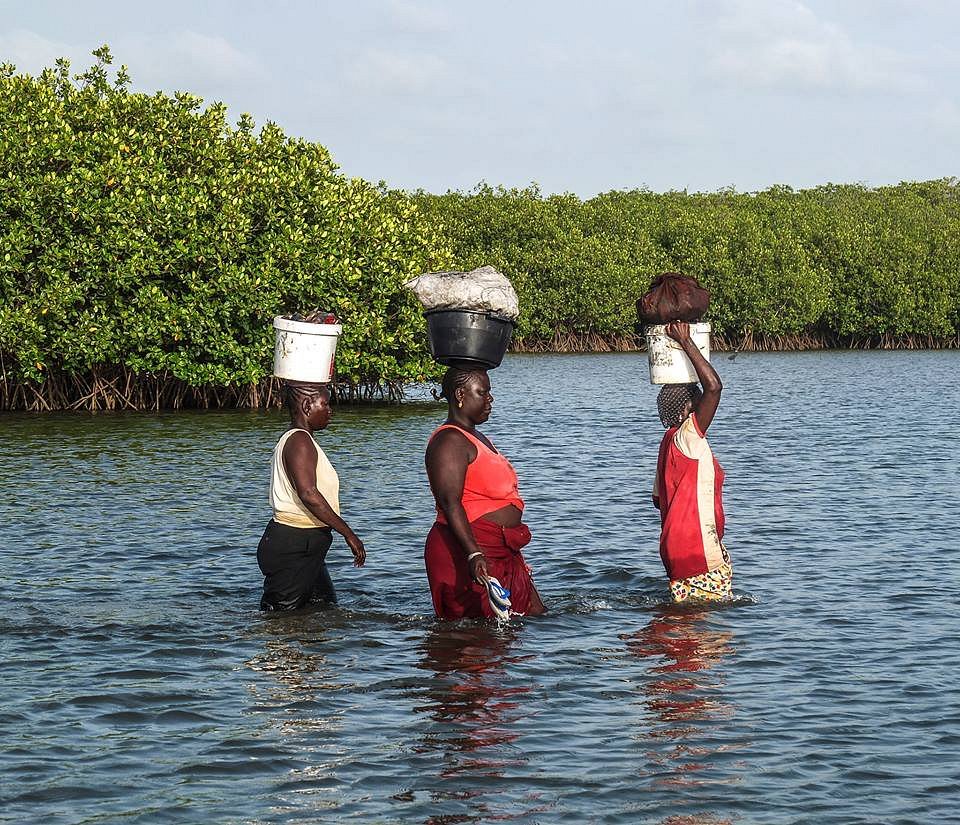 Activités à la Somone